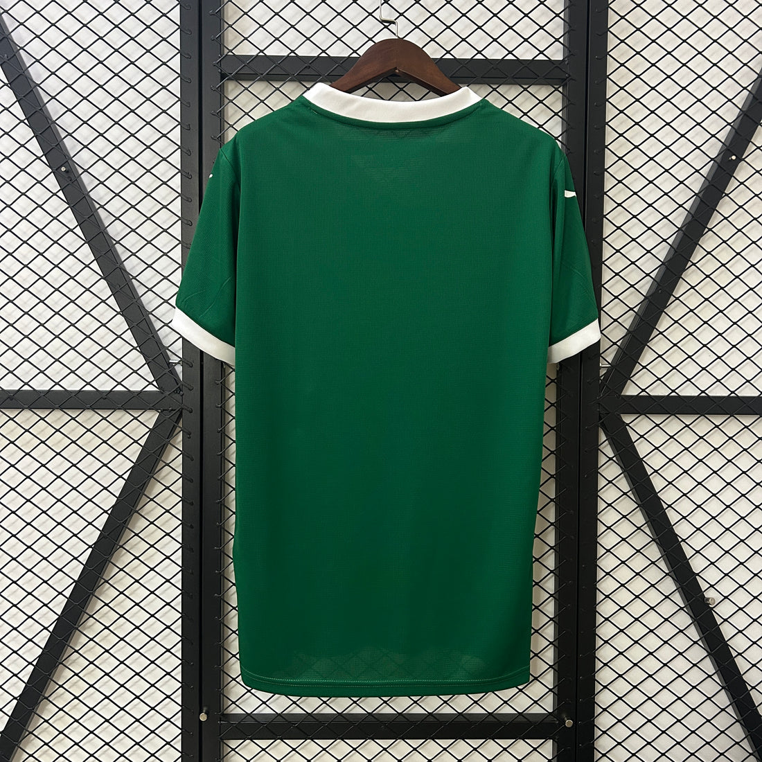 SE Palmeiras home jersey 2025-26