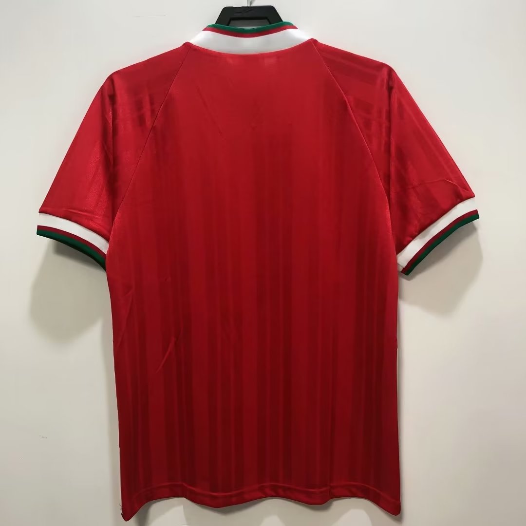 Retro Liverpool home jersey 1993-95