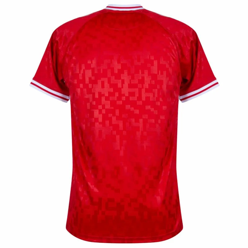 Denmark Home Jersey - 2024-2025