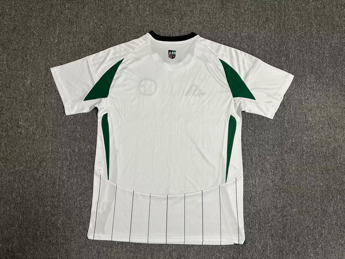 Schalke 04 away jersey 2024-25