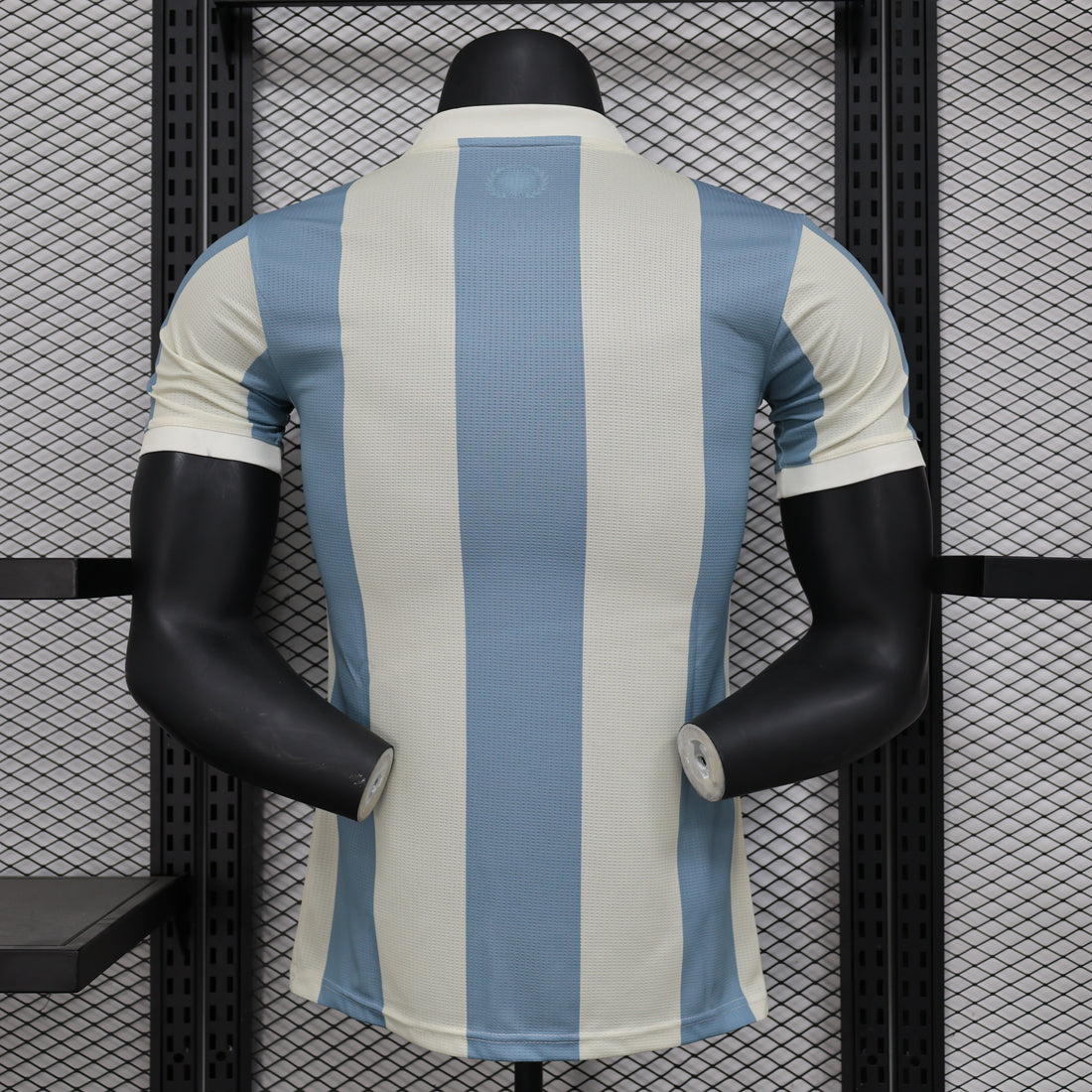 Argentina Special Edition jersey Player version 2024