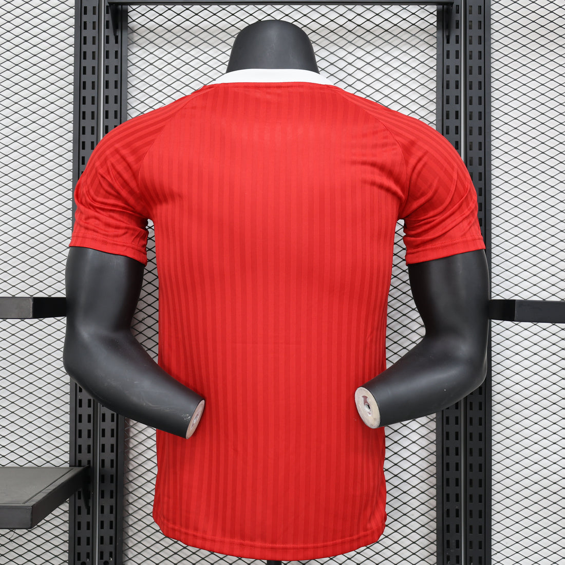 Manchester United special edition jersey player edition 2024-25